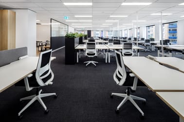 33-35 Saunders Street Pyrmont NSW 2009 - Image 3