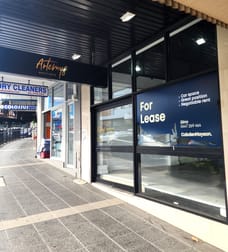 336 Homer Street Earlwood NSW 2206 - Image 1