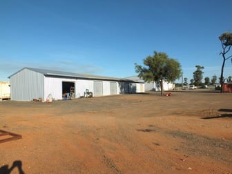 69 Mckenzie St Narrabri NSW 2390 - Image 3