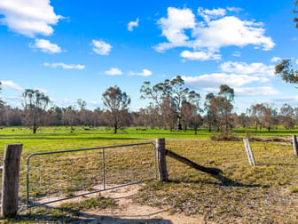 243 Cochranes Road Costerfield VIC 3523 - Image 2