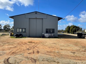 34 Moore Street Robinvale VIC 3549 - Image 3