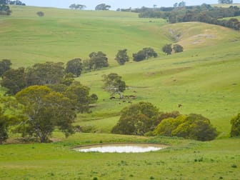 593 Balochile Road Coleraine VIC 3315 - Image 2
