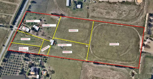 90 Green Street Bulla VIC 3428 - Image 3