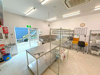 2/44 Rene Street Noosaville QLD 4566 - Image 3