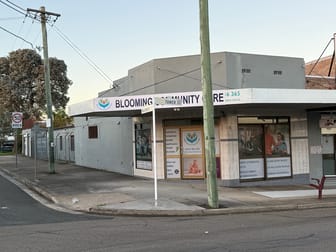 173 Tower St Panania NSW 2213 - Image 1