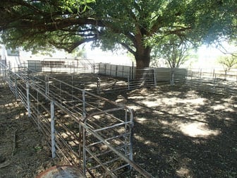 237 Jacks Rd Rutherglen VIC 3685 - Image 2