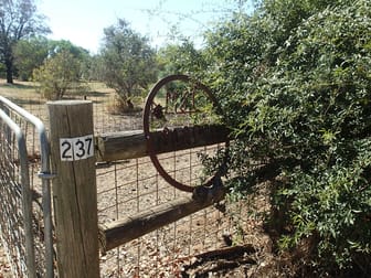237 Jacks Rd Rutherglen VIC 3685 - Image 3