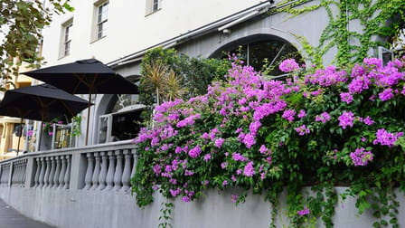 169 Darlinghurst Road Darlinghurst NSW 2010 - Image 2