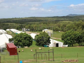 676 Grieve Road Rochedale QLD 4123 - Image 3