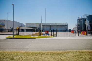 Click to view all images 7 Callistemon Street Brisbane Airport QLD 4008 - Image 1