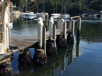 Lot/2D Mosman Street Mosman NSW 2088 - Image 3
