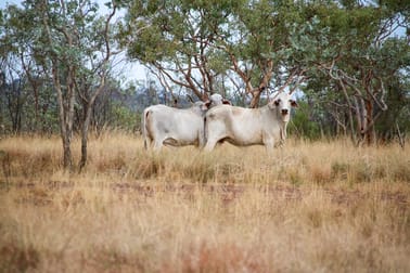 . Manbulloo Station Katherine NT 0850 - Image 2