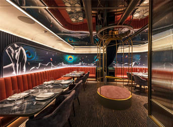 229 Darlinghurst Road Darlinghurst NSW 2010 - Image 2