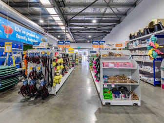 313 Middleborough Road Box Hill South VIC 3128 - Image 3