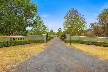 Click to view all images 164 Upper Dartbrook Road Scone NSW 2337 - Image 3