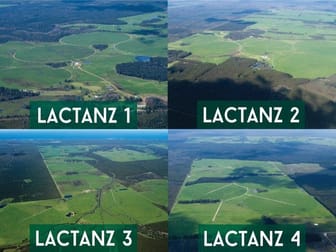 Lactanz/Dairies South-West Western Australia Scott River East WA 6275 - Image 1