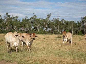 'Seloh Nolem' Valkyrie QLD 4742 - Image 1