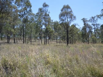 Lot 21 Piercefield Road Mount Thorley NSW 2330 - Image 1