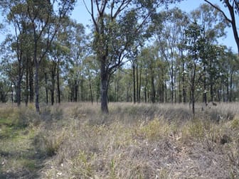 Lot 21 Piercefield Road Mount Thorley NSW 2330 - Image 2