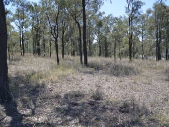 Lot 21 Piercefield Road Mount Thorley NSW 2330 - Image 3