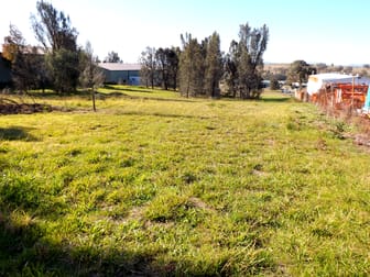 20 Wallarah Road Muswellbrook NSW 2333 - Image 2