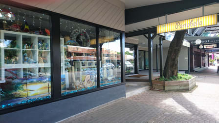 36 Macrossan Street Port Douglas QLD 4877 - Image 2