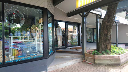 36 Macrossan Street Port Douglas QLD 4877 - Image 3