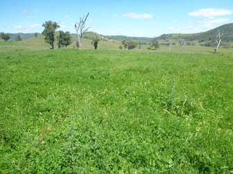 Part Killarney Halls creek Rd Manilla NSW 2346 - Image 1