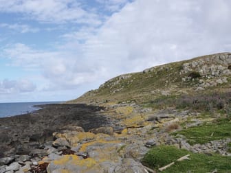 . Ninth Island Bridport TAS 7262 - Image 2