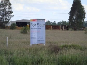 Lot 208 Roma Downs Road Roma QLD 4455 - Image 3