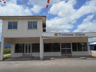52 Abergowrie Road Trebonne QLD 4850 - Image 1