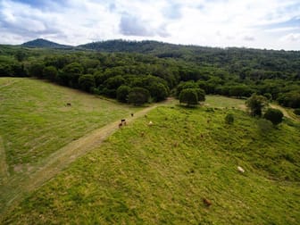 Black Mountain Road Julatten QLD 4871 - Image 1