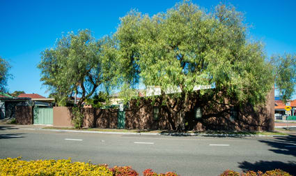 106 Wilson Street Botany NSW 2019 - Image 3