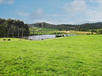 Mawbanna TAS 7321 - Image 1