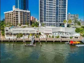 58 Cavill Avenue Surfers Paradise QLD 4217 - Image 3