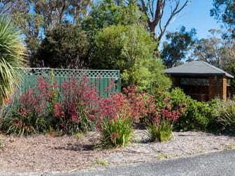 18356A Tasman Highway Bicheno TAS 7215 - Image 3