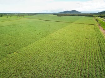 Coastal Farms Tully QLD 4854 - Image 1
