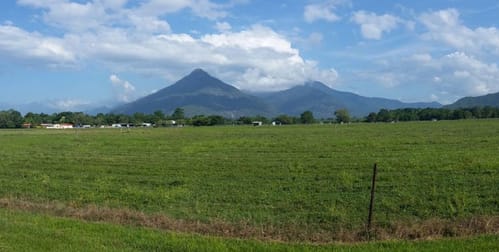 Gordonvale QLD 4865 - Image 2