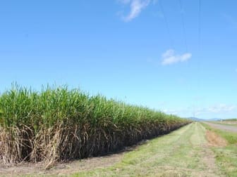 Stephenson & Rinaudo Road Lower Cowley QLD 4871 - Image 1
