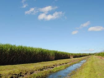 Stephenson & Rinaudo Road Lower Cowley QLD 4871 - Image 2