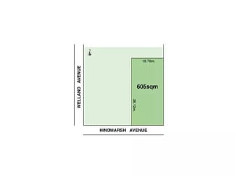 17 Hindmarsh Ave Welland SA 5007 - Image 2