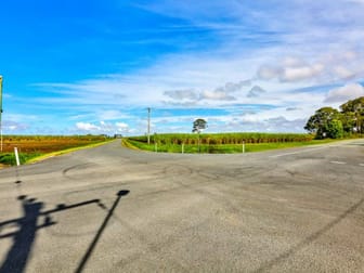 Lot 541 Rotary Park Road Alberton QLD 4207 - Image 2