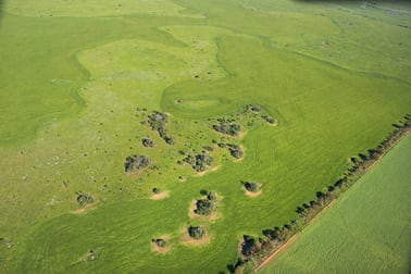 Quandong VIC 3030 - Image 2