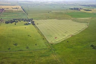 Quandong VIC 3030 - Image 3