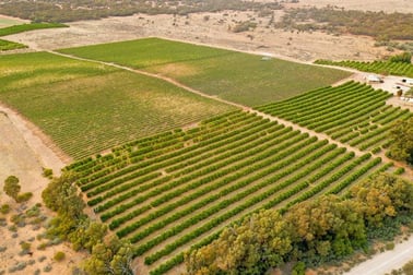 473 River Road Langs Landing SA 5353 - Image 2