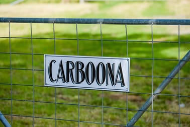 "Carboona" Jingellic Road Jingellic NSW 2642 - Image 3