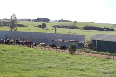 99 Lottah Rd Natone TAS 7321 - Image 2