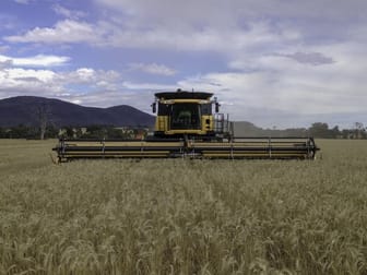 Kyeamba, Nowlan's Road Grenfell NSW 2810 - Image 1