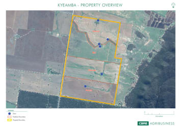 Kyeamba, Nowlan's Road Grenfell NSW 2810 - Image 3