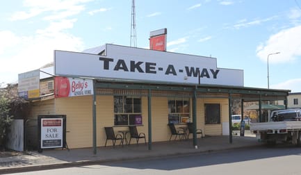 49 Main Street West Wyalong NSW 2671 - Image 1